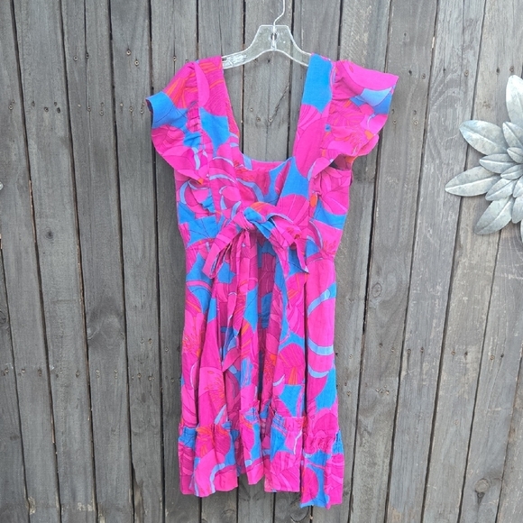 TUCKERNUCK X CAMERAN EUBANKS WIMBERLY Wild Azalea Edisto Dress - Picture 4 of 9
